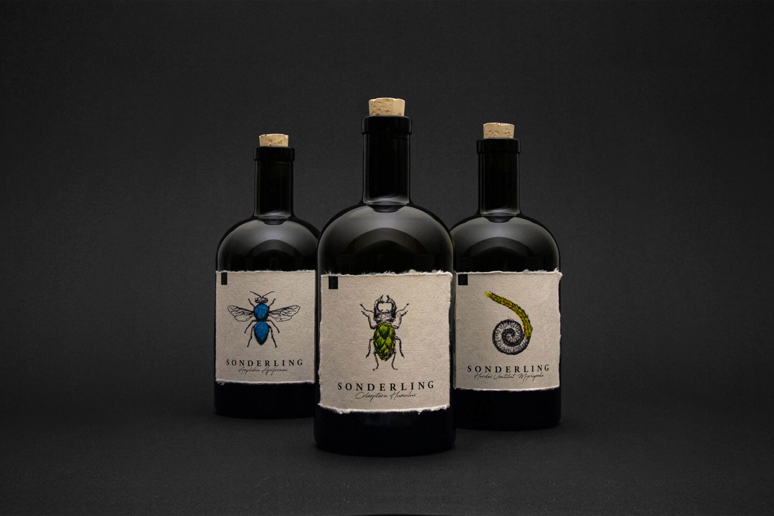 Sonderlin_Jonathan_Kopetzky_01