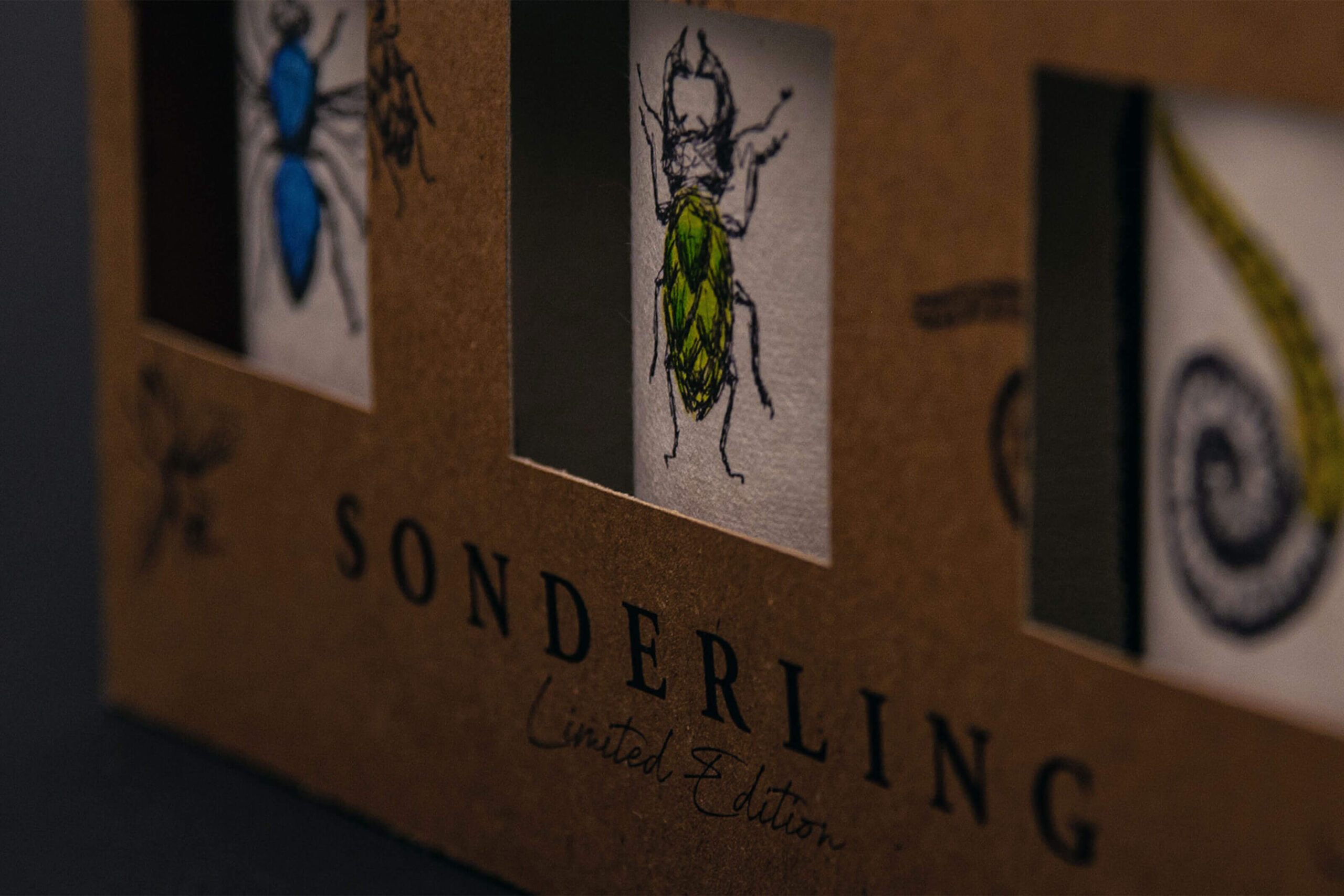 Sonderlin_Jonathan_Kopetzky_05