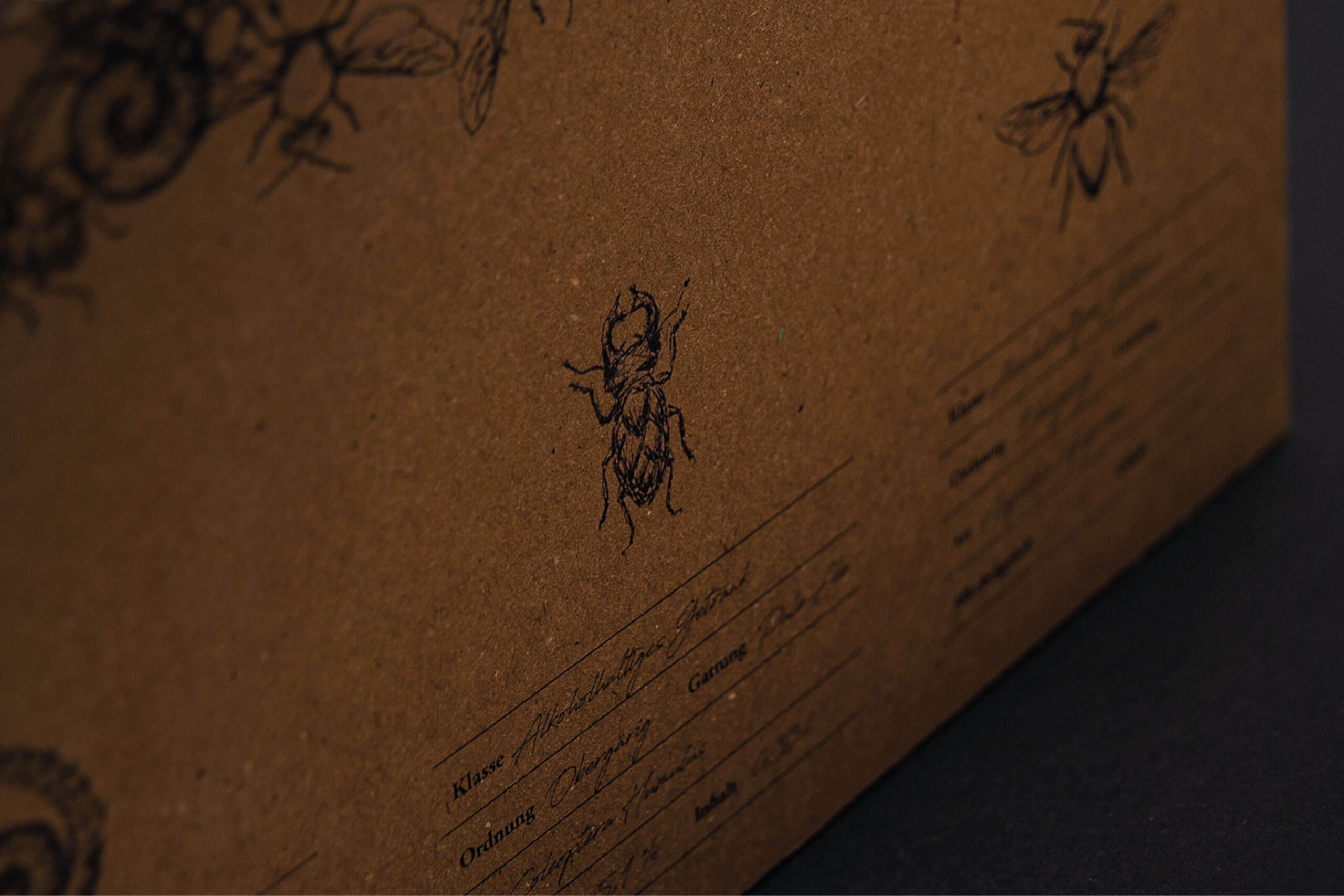 Sonderlin_Jonathan_Kopetzky_06