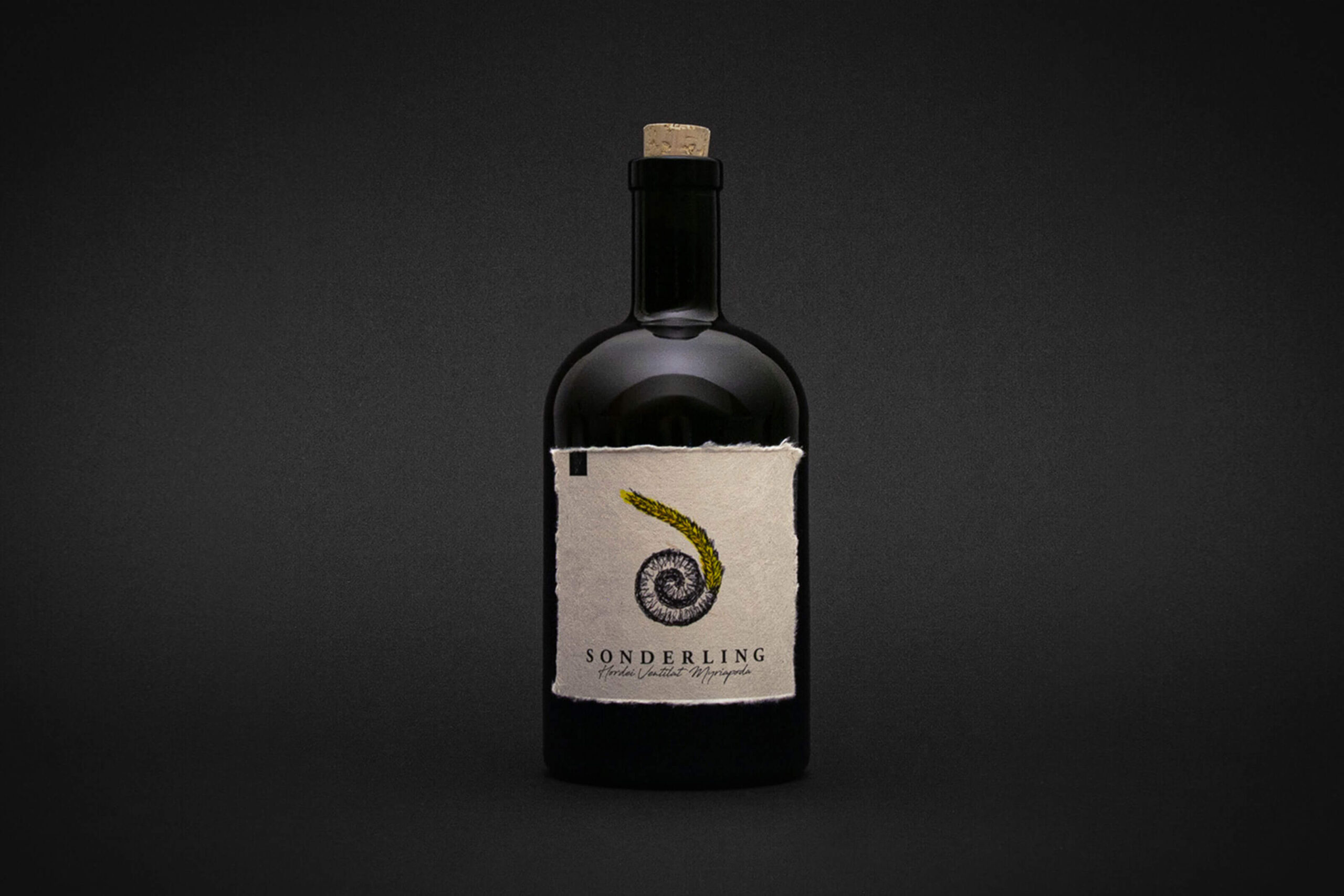 Sonderlin_Jonathan_Kopetzky_09